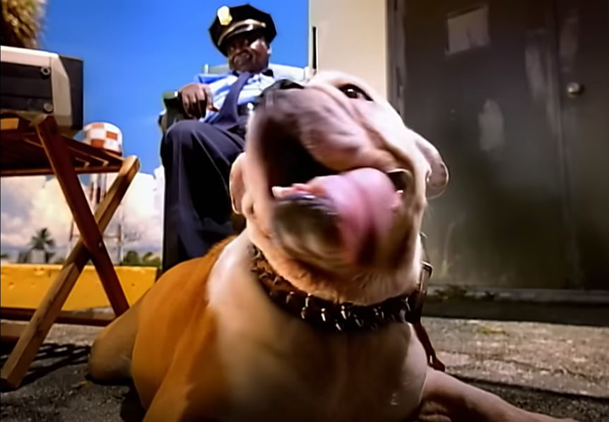 Baha Men - Who Let The Dogs Out?